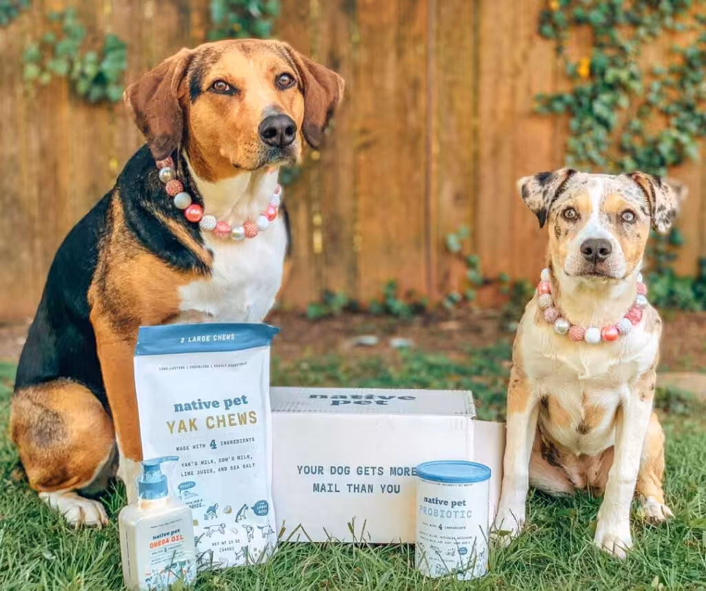 22-themissourimutts_2021_03__revenue__probiotic_2021_05_14_04_46_04 22 themissourimutts 2021 03 revenue probiotic 2021 05 14 04 46 04